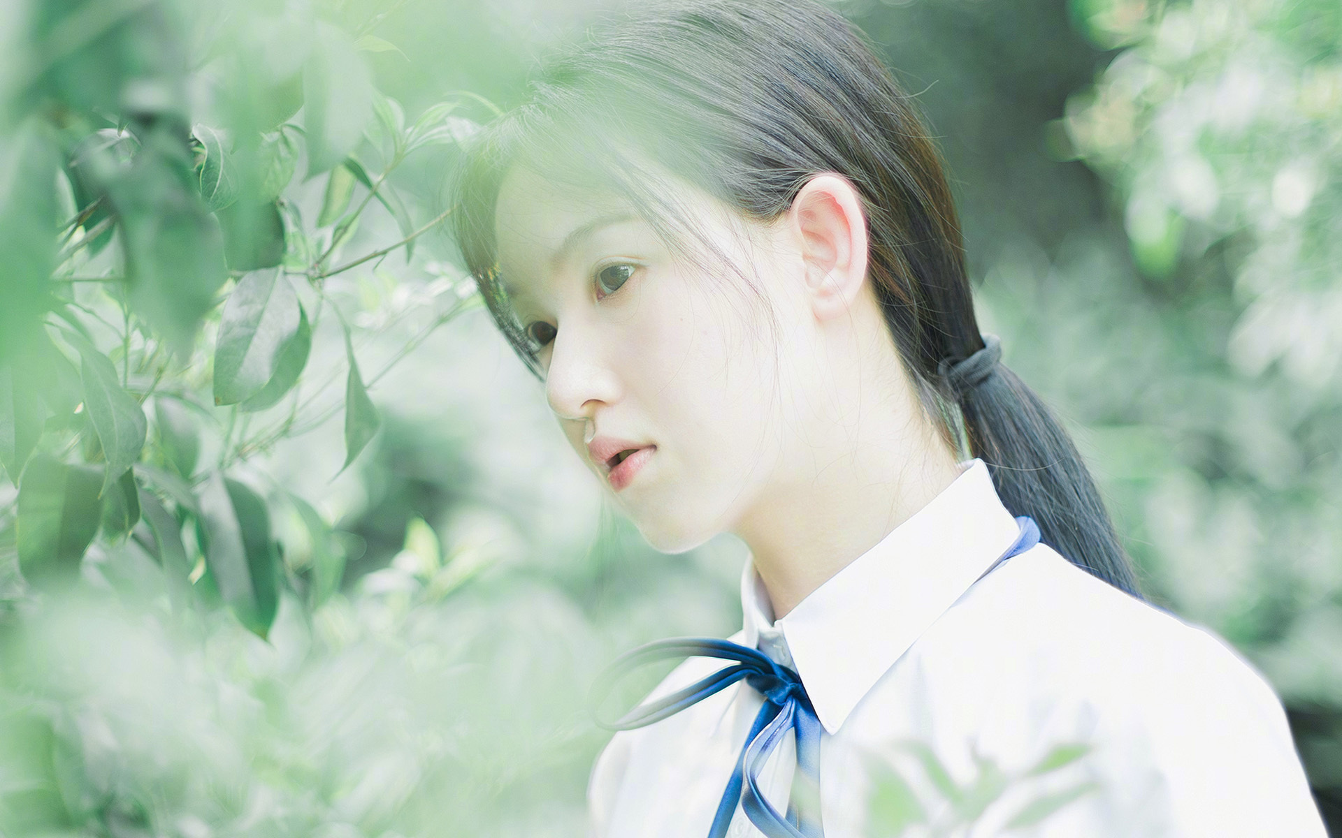 开云sport-极致之战，当F1的绝对速度遇上篮球的绝对节奏